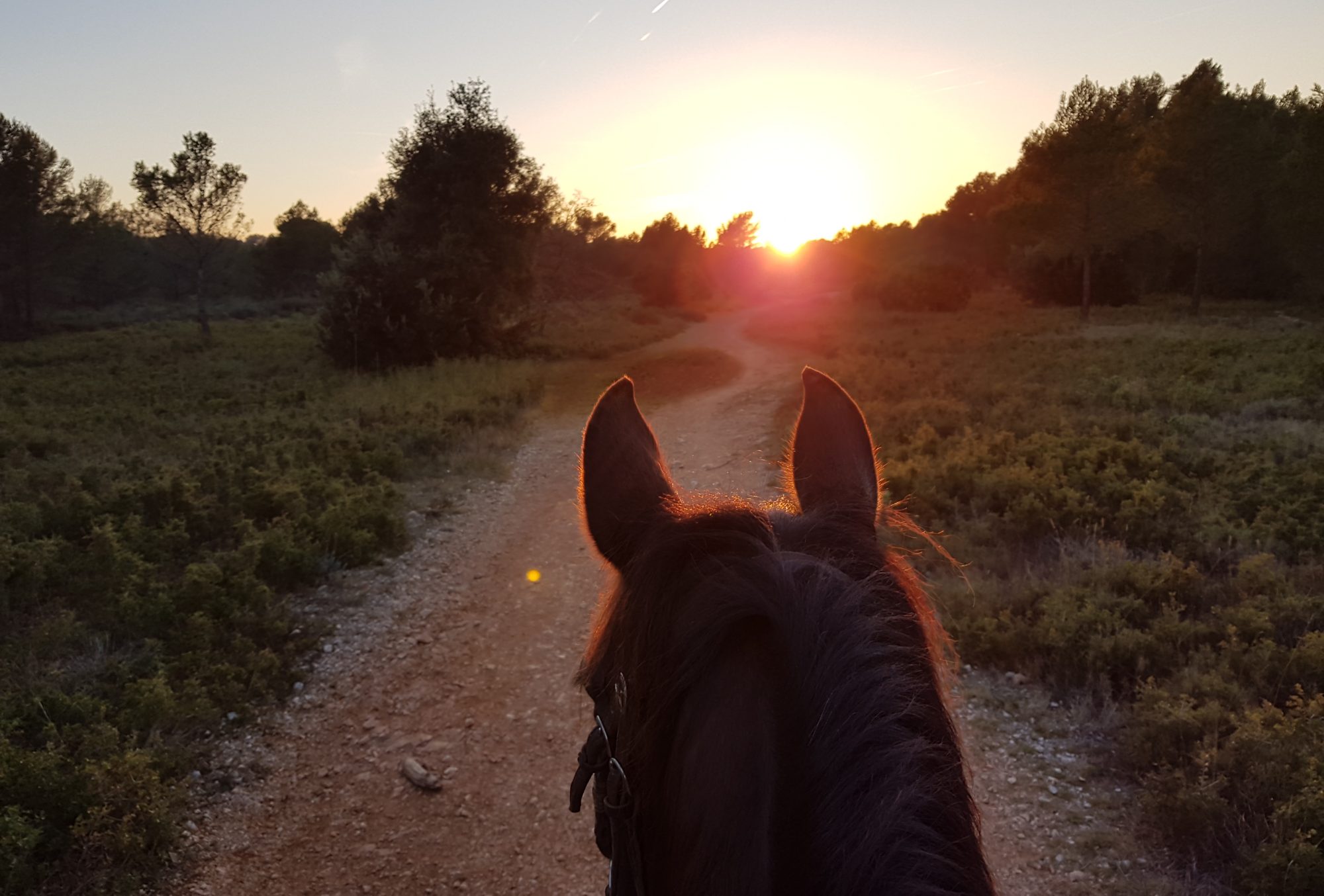 13 à cheval : L'Association de  Tourisme  Equestre des Bouches-du-Rhône